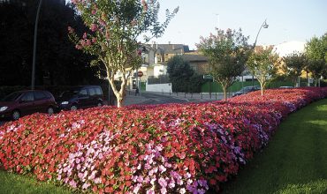 SUNPATIENS®