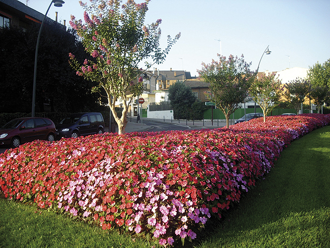 SUNPATIENS®