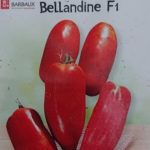 Bellandine