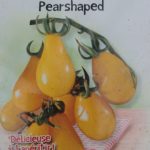 Yellow Pearshaped